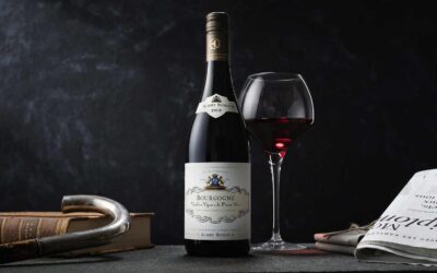 Pinot noir i Bourgogne